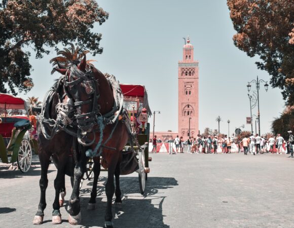 Best Things To Do In Marrakech 2024