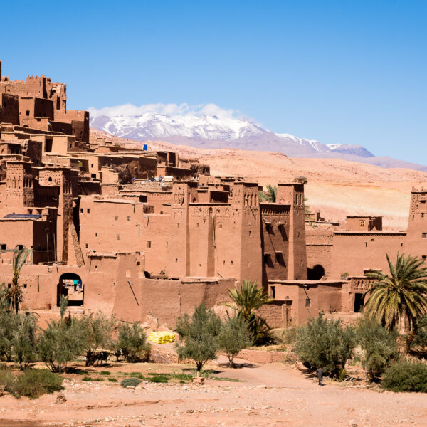intrepid morocco uncovered