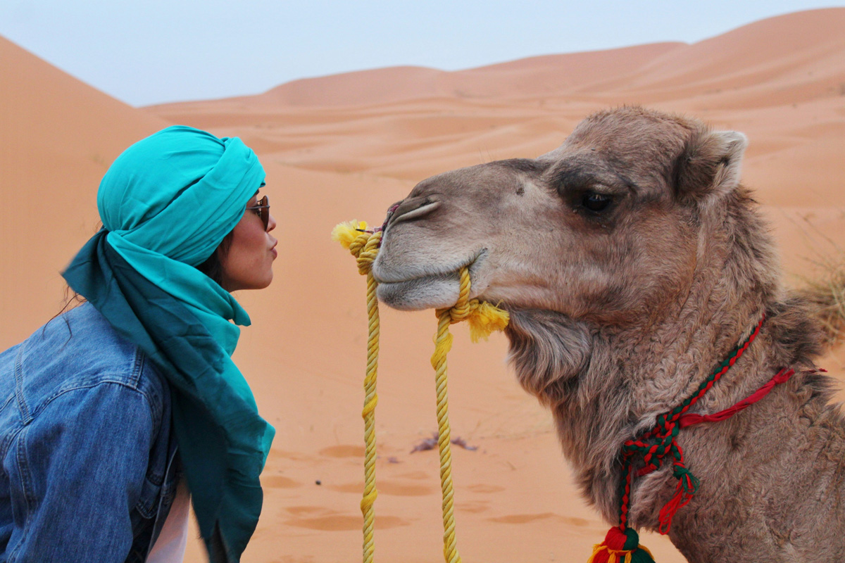 From Fes to Marrakech : The Ultimate Sahara Desert Adventure