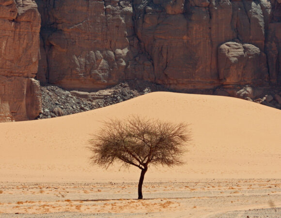 Morocco’s Desert Terrains: Erg, Reg, and Hamada