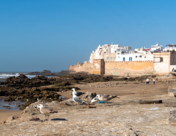 A Two-Week Grand Morocco Tour Itinerary From Casablanca