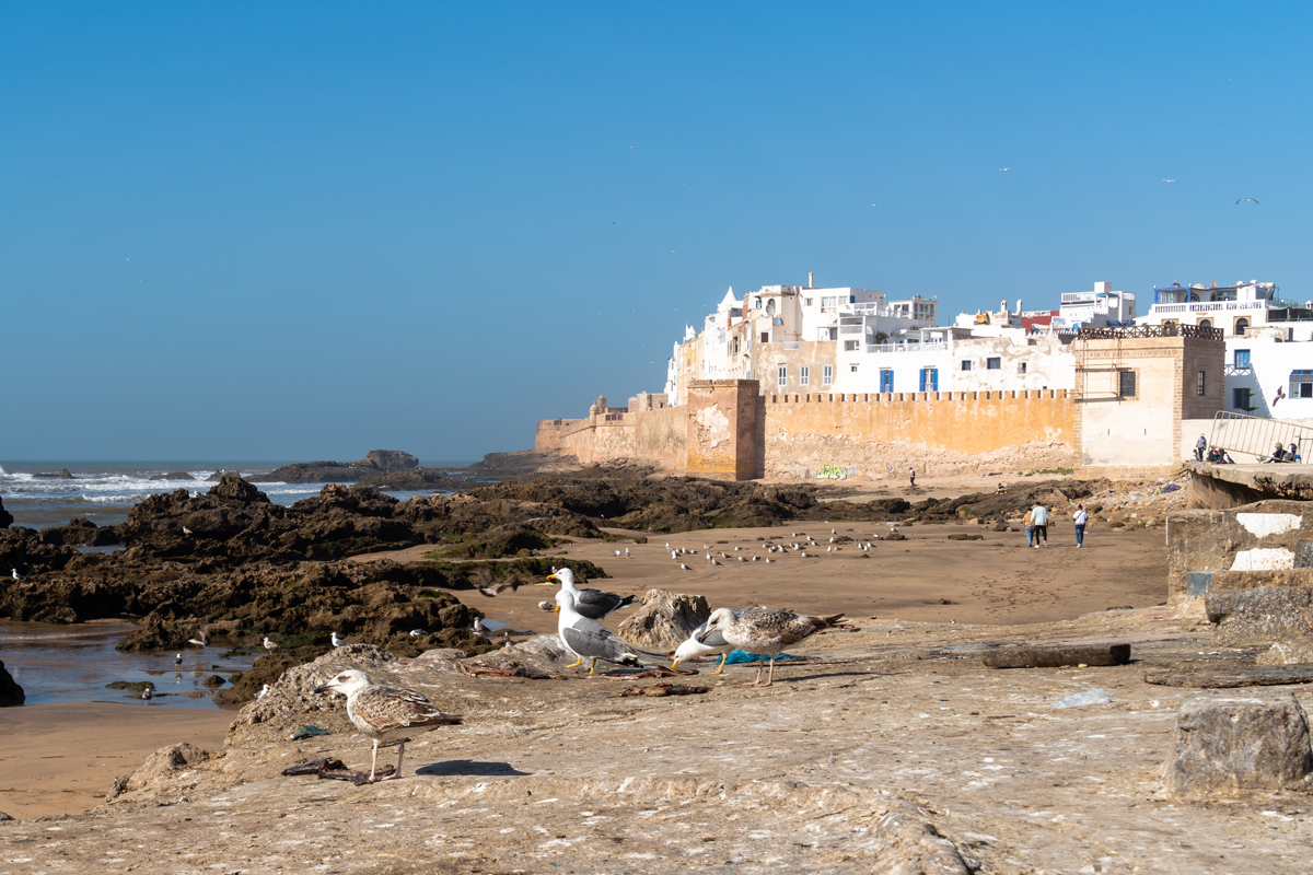 A Two-Week Grand Morocco Tour Itinerary From Casablanca