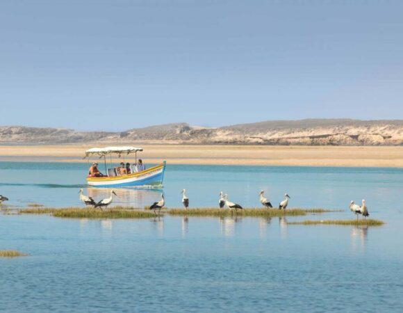 Essaouira And Oualidia Morocco Tour 2024