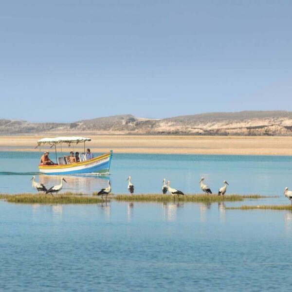 Essaouira And Oualidia Morocco Tour 2024