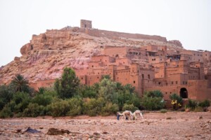 Agadir Desert Tour To Erg Chigaga