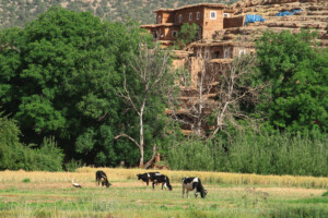 Ait Bougmez Valley