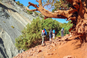 A Sustainable Walking Tour In Ouarzazate