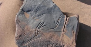 rock engravings morocco