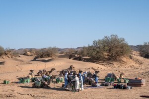 camel trekking in morocco