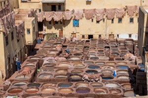 fes tanneries