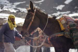 high atlas mountains