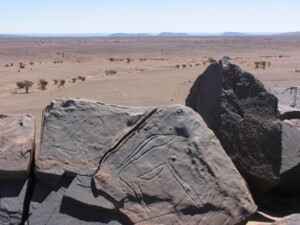 tata rock engravings