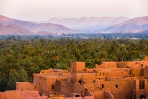 draa valley palm grove