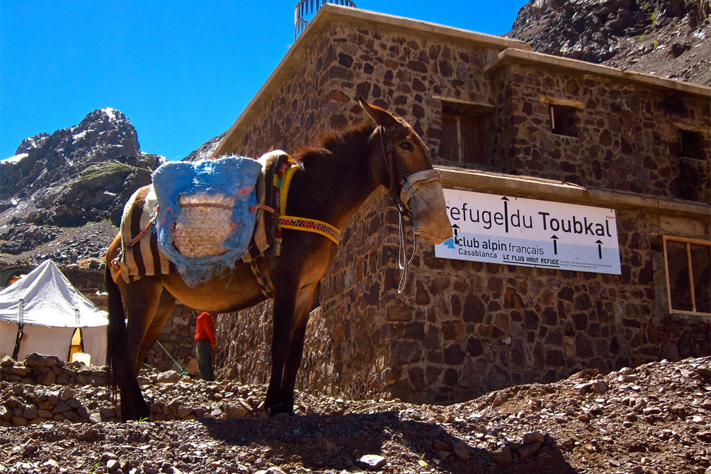 refuge toubkal