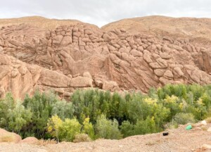 fes to marrakech desert tour