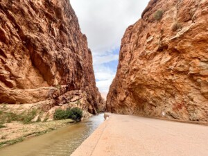 Todra gorges 