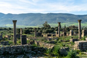 roman ruins volubilis