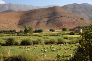 high atlas mountains