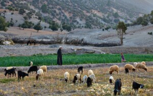 morocco photography tour