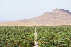 Ouarzazate Desert Tour