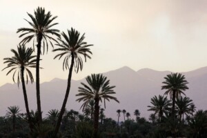 5 day desert tour from Marrakech