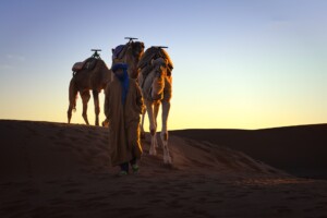 Desert tour from Marrakech to Merzouga 