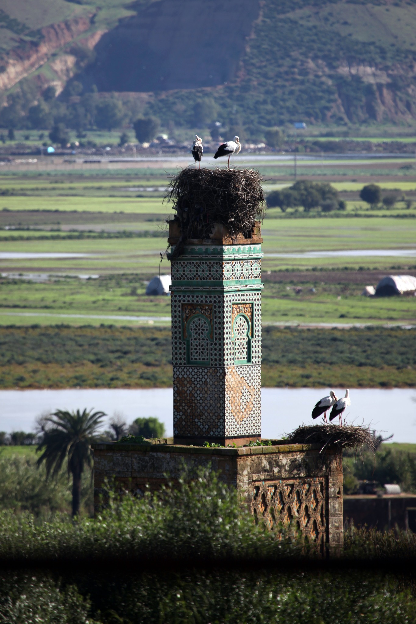 casablanca day tours