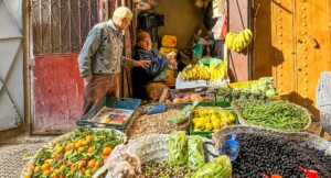 Day Trip To Fez From Casablanca
