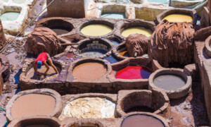 Fes - Chouwara Tanneries