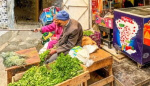 Day Trip To Fez From Casablanca
