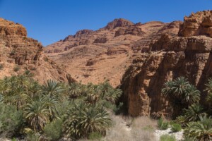 17 Day Morocco Trip