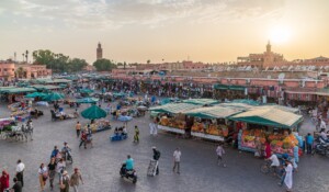 day trip to Marrakech from Casablanca