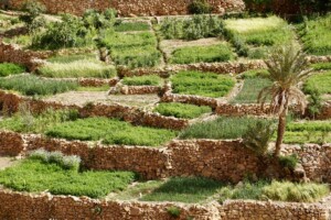 17 Day Morocco Trip