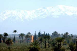 day trip to Marrakech from Casablanca